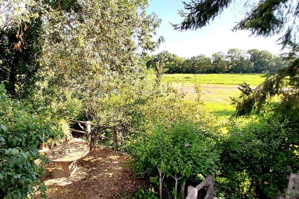 Le Bois Flotte - Maison Au Coeur De La Loire Entre Ville Et Nature Saumur Kültér fotó