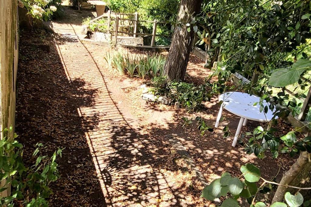 Le Bois Flotte - Maison Au Coeur De La Loire Entre Ville Et Nature Saumur Kültér fotó